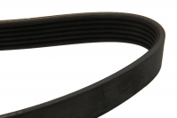 Ремень поликлиновой генератора (6PK1705) PEUGEOT, CITROEN, OPEL, BMW, FORD, FIAT, LANCIA, MAZDA, TOYOTA DAYCO