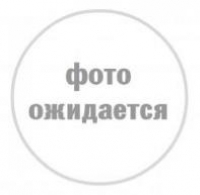 Успокоитель цепи в упак. ВАЗ 2101-2107, 2121, 2129, 2130, 2131; ИЖ-Москвич 2126, 2717; MОСКВИЧ 2141, 2335 БРТ
